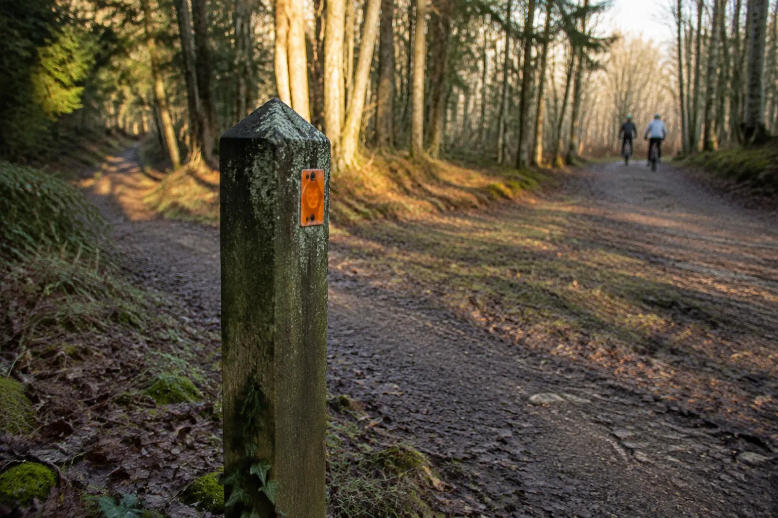 Obstacle sur sentier VTT : le signalement Suricate express