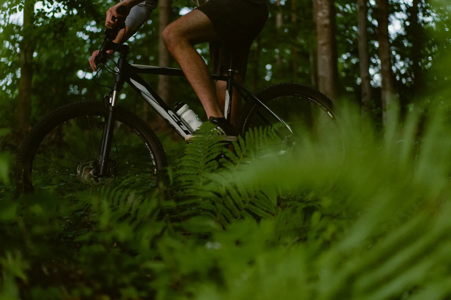 Pédales VTT plates ou auto : quel choix selon votre pratique ?