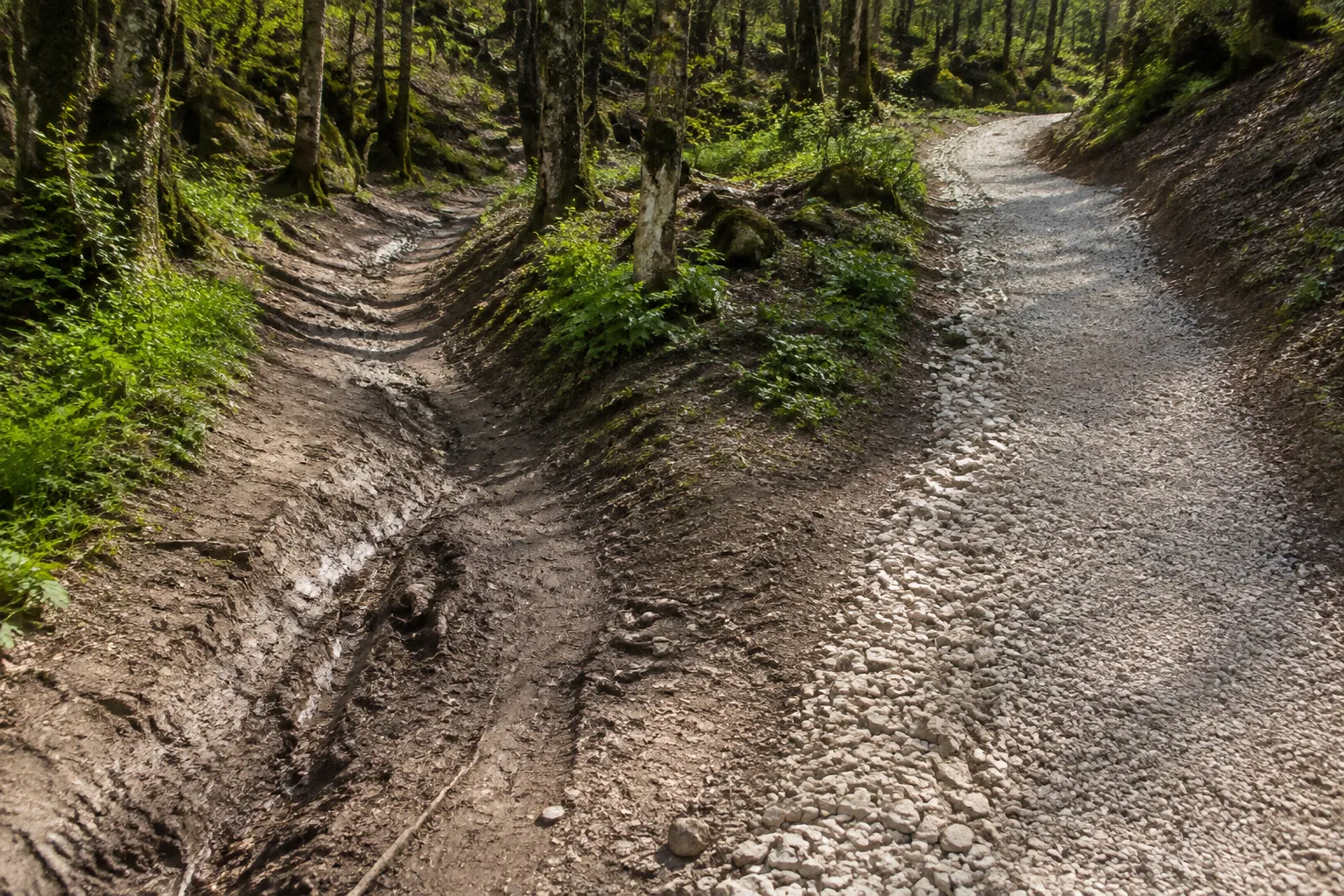 Variantes techniques en VTT : l'avant-après d'un tracé
